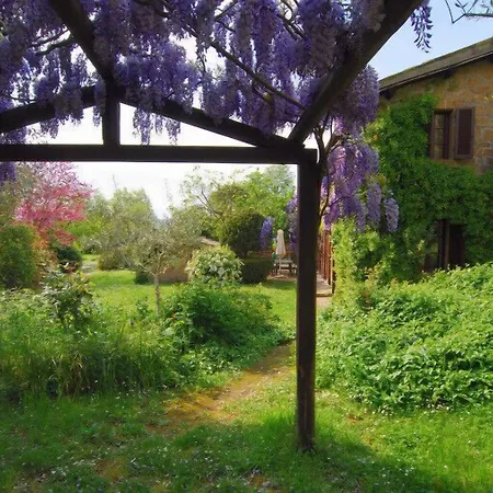 Casaselita Bed and breakfast Orvieto