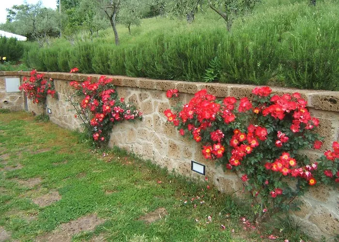 فندق مبيت وإفطار Casaselita